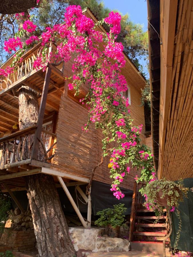 Large Bungalow With Sea View In Kabak Bay, Oeluedeniz เฟทิเย ภายนอก รูปภาพ