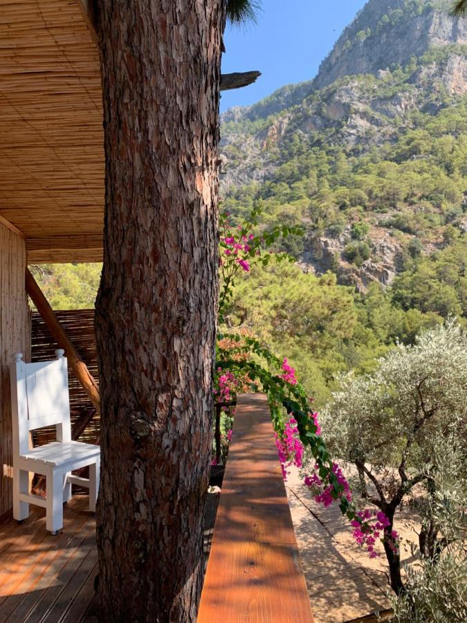 Large Bungalow With Sea View In Kabak Bay, Oeluedeniz เฟทิเย ภายนอก รูปภาพ